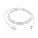 LIGHTNING TO USB CABLE (1M)